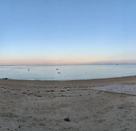 Les Homards Du Fier #3 * La Guérinière